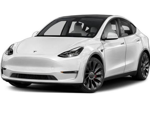 TESLA MODEL Y 2023 7SAYGDEEXPA111385 image